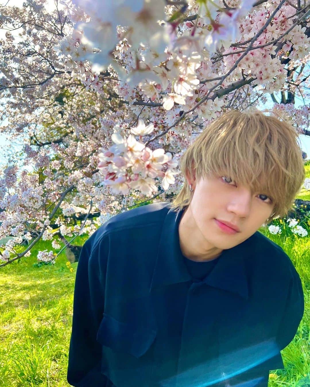 のインスタグラム：「岡崎桜まつり😊  やっぱ岡崎はいいなあ  今年も観光伝道師に任命して頂きました！ ありがとうございます！ 岡崎盛り上げるぞ😎  #岡崎 #観光伝道師 #桜まつり #佐野勇斗 #MILK」