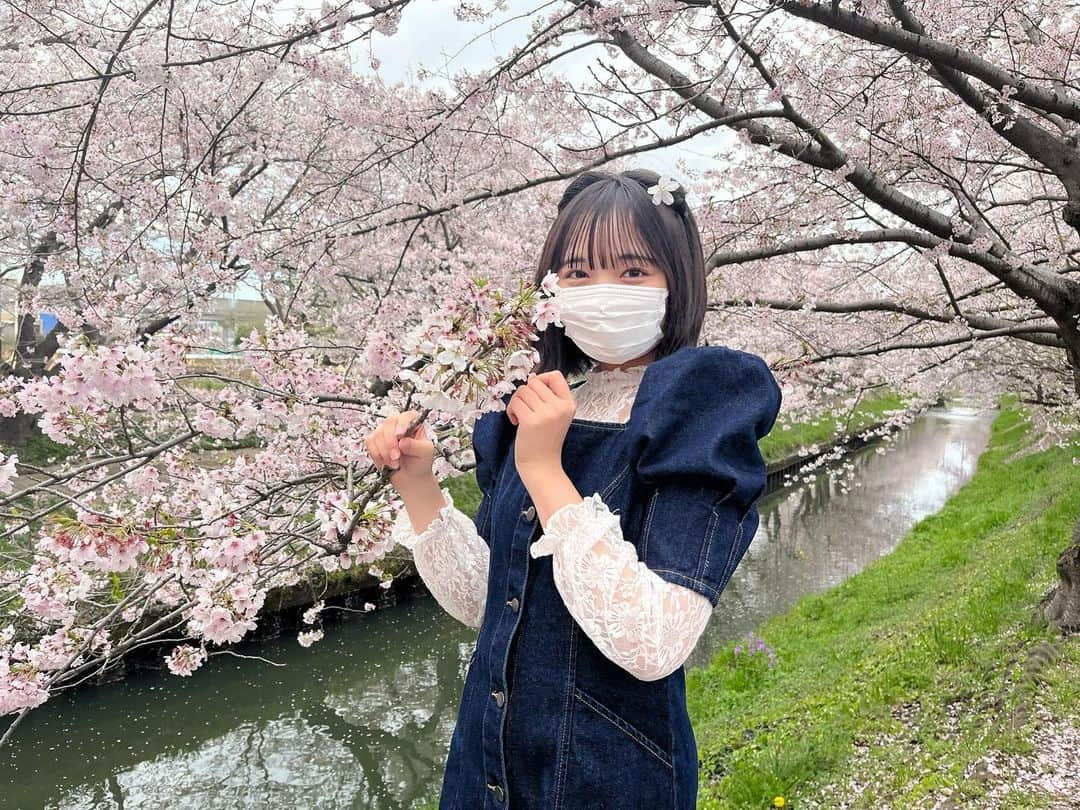 小田垣有咲さんのインスタグラム写真 - (小田垣有咲Instagram)「🌸」4月5日 20時32分 - arisaodagaki