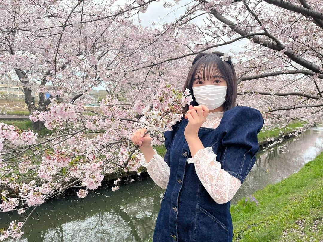 小田垣有咲さんのインスタグラム写真 - (小田垣有咲Instagram)「🌸」4月5日 20時32分 - arisaodagaki