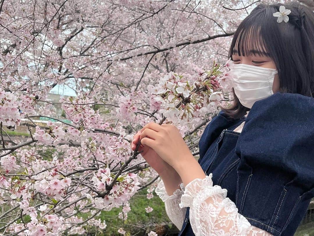 小田垣有咲さんのインスタグラム写真 - (小田垣有咲Instagram)「🌸」4月5日 20時32分 - arisaodagaki