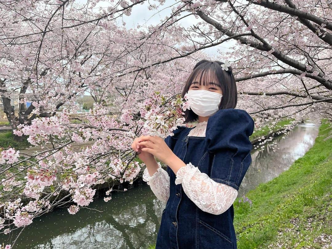 小田垣有咲さんのインスタグラム写真 - (小田垣有咲Instagram)「🌸」4月5日 20時32分 - arisaodagaki