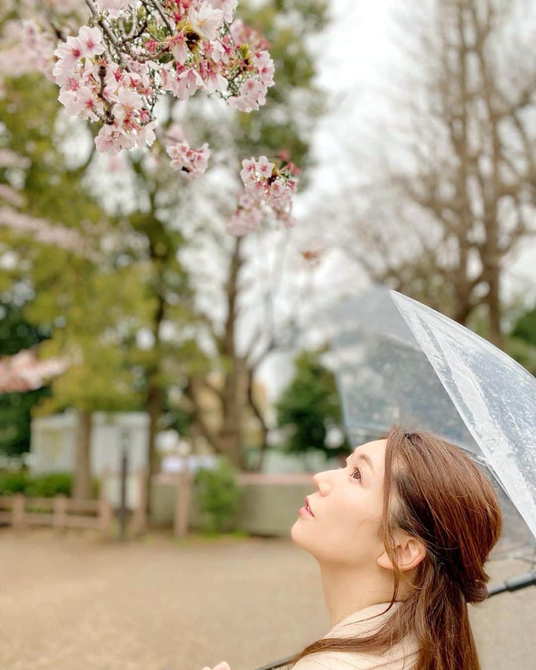 穂川果音さんのインスタグラム写真 - (穂川果音Instagram)「🌸🌸🌸  #桜　#sakura #上野　#ほかのん」4月5日 15時27分 - hokawakanonn