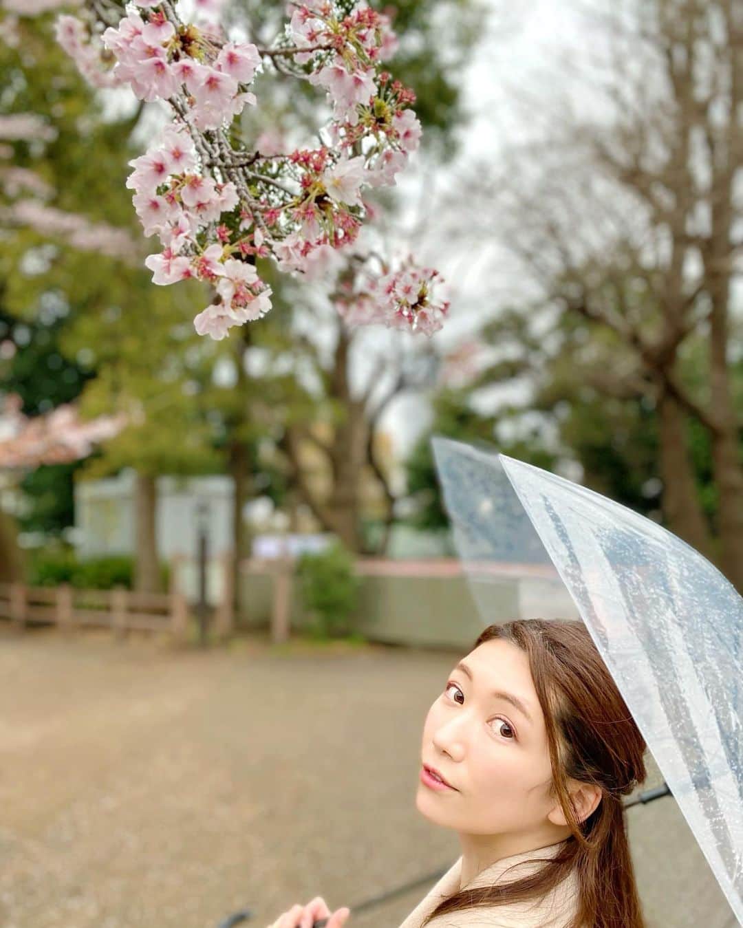 穂川果音さんのインスタグラム写真 - (穂川果音Instagram)「🌸🌸🌸  #桜　#sakura #上野　#ほかのん」4月5日 15時27分 - hokawakanonn