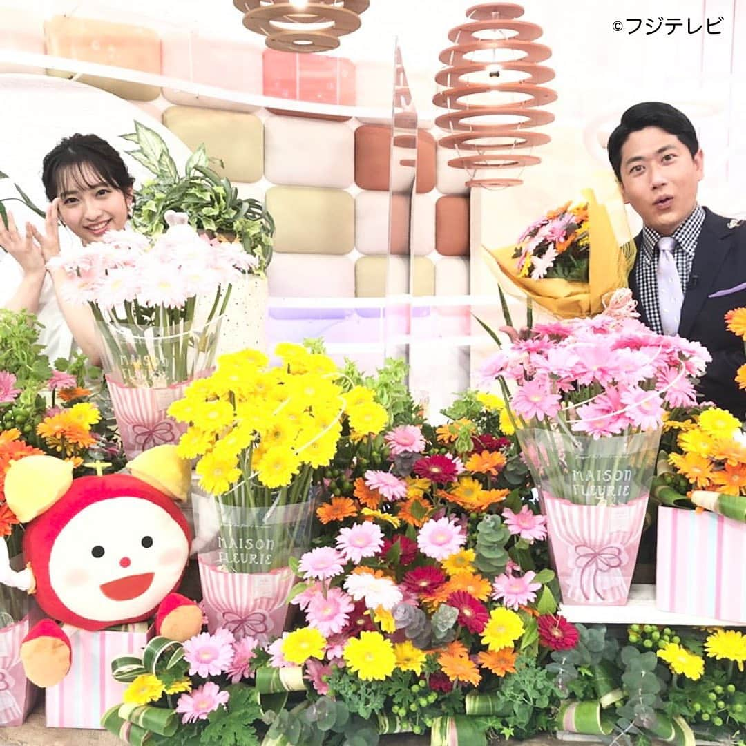 フジテレビ「めざましテレビ」さんのインスタグラム写真 - (フジテレビ「めざましテレビ」Instagram)「きょうのお花は 色鮮やかな大きなお花に 春を感じる「ガーベラ」🌸  春のパワーをくれる「ガーベラ」は 新生活をスタートさせる みなさんにもオススメです😁 #めざましテレビ #藤本万梨乃  #酒主義久」4月5日 15時41分 - mezamashi.tv