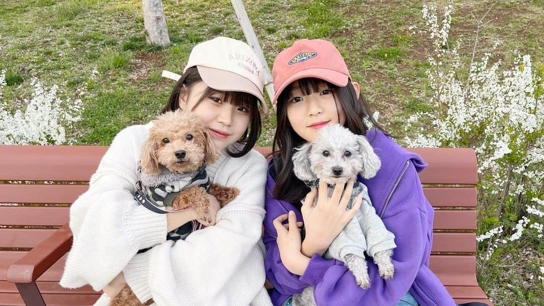 さやりささんのインスタグラム写真 - (さやりさInstagram)「2022/04/05｛りさ  みんな学校いつから？ 担任とクラス替えドキドキ🫤！←新しい絵文字  そして春休みも終わっちゃうけどルーティン公開🌸 YouTubeさやりさチャンネルでチェックしてね➰  みんな雑巾忘れずにw  ：：：：：：：：：：：：：：：：：：：：：：：：  ＊Instagram ｛さや @sayaninyo.insta ｛りさ @risanico.insta   ＊YouTube さやりさチャンネル ｛まいにち 16:00~ 17:00~ 19:00~  ＊TikTok ｛sayarisa.tiktok｛sayaninyo.tiktok｛sayarisa.sub  ＊Twitter  ｛sayarisa_tweet  ：：：：：：：：：：：：：：：：：：：：：：：：  #春休み #2022春 #blog #vlog  #休日 #休日の過ごし方 #オフの日  #トイプードル #トイプードル多頭飼い  #トイプードルシルバー #トイプードルレッド  #さやりさ #さやりさチャンネル #youtube   ：：：：：：：：：：：：：：：：：：：：：：：：」4月5日 17時02分 - sayarisa.insta