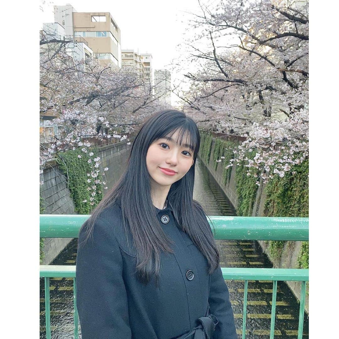 大島璃音のインスタグラム：「🌸目黒川の桜🌸  今年も見ることが出来ました😌  今年は都内の桜、散るのが早かったなぁ。曇りの日が多かったなぁ。という印象ですが、また来年咲く頃が楽しみです🌸  最近は寒い日が続いていましたが、ようやく春らしい体感となりそうですね！ 素敵な春になりますように💫  📸2枚目:桜よりも空模様が気になってしまう私😲」