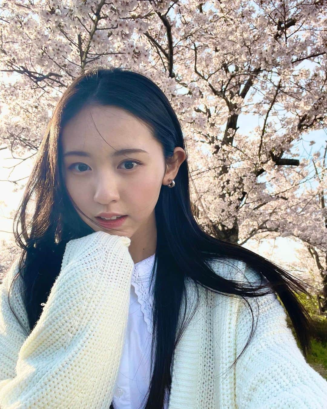 入江美沙希さんのインスタグラム写真 - (入江美沙希Instagram)「桜がとっても綺麗〜動画も撮ってみた🎥   みさきは、4月から高校生になりました！ 新年度一緒に頑張りましょ🌸  #Seventeen #セブンティーン #イマドキガール #ロング #06 #06년생 #jk #jk1  #スターダストプロモーション #BREAKTIMEGIRLS #BtG #入江美沙希」4月5日 18時17分 - irie_misaki_official