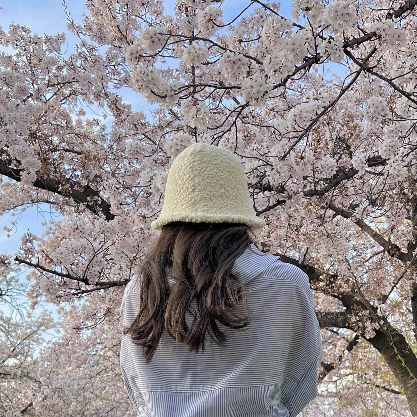 のインスタグラム：「だいすきな春 ✿*: みんなが好きな季節は~？？」