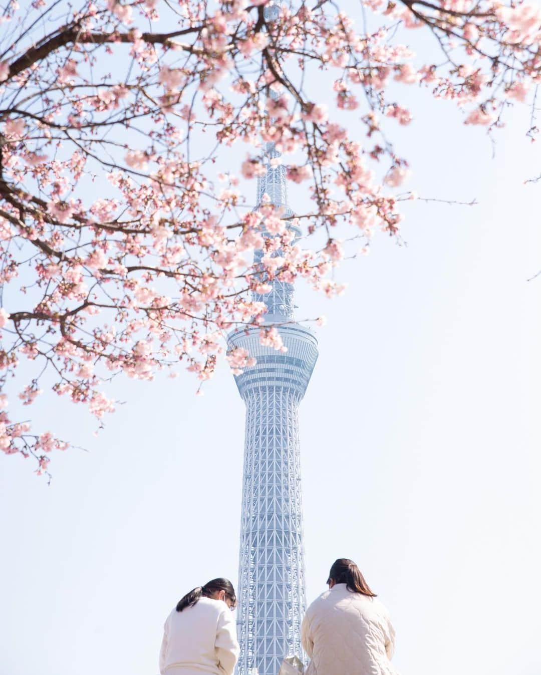 kazumaのインスタグラム：「.. . Tokyo Sakura Tree & tiny peoples. 🌸🌸🌸 👧🗼👧 . . ① 墨堤の桜とスカイツリー。 スカイツリー目の前にすると小人に。 . と呑気なことを言ってられないぐらい花粉がすごすぎで👀が充血しまくりʕ•̫͡•ʕ•̫͡•ʔ•̫͡•ʔ . . ② ストーリーズにあげた密集する河津桜ではなくその手前の河津桜から撮るスカイツリー。こちらの方がスカイツリー囲める感じで個人的には好き📸 . ③ ストーリーズの群れ側の河津桜から。もう河津桜は満開🌸🌸🌸例年より遅いけどあったかくなってからで撮影もしやすい。 . ④ とか言ってたらピントが奥のスカイツリーばかりで風情ないので桜メインもw . . . . . #スカツリスト #tokyoskytree  #東京スカイツリー #桜 #cherryblossom  . . . . . . . . . . . . . . . . . . . . . . . . . ————————————————— #igersjp #team_jp_  #instagramjapan #icu_japan  #like4like #instalike #写真が好きな人と繋がりたい#ファインダー越しの私の世界 #beautiful #今日もx日和  #instadaily #ig_worldclub #igrecommend #lovers_nippon #picture_to_keep  #jp_gallery_member  #東京カメラ部 #tokyocameraclub #indies_gram  #instagood #huntgram #huntgramjapan #japan_daytime_view #art_of_japan_  #ig_photooftheday  ————————————————— . . . . . . .. ...」