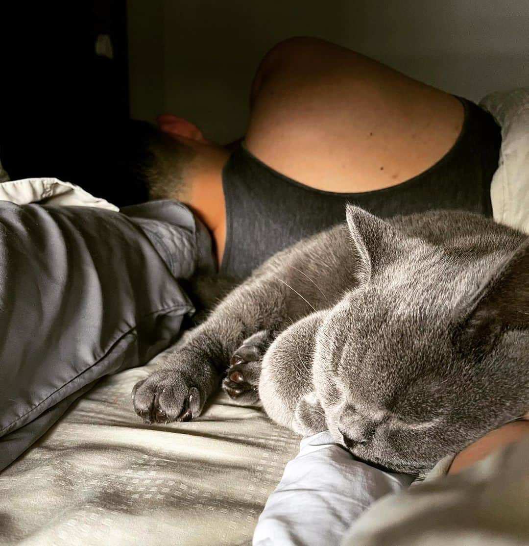 ヒューバートのインスタグラム：「When you decide to take a catnap and someone decides to take one behind you as well 🐱 💤」