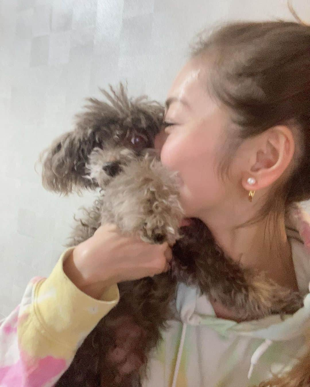 熊切あさ美さんのインスタグラム写真 - (熊切あさ美Instagram)「今日は花粉が酷すぎて 鼻水にくしゃみ🤧 大丈夫な日は大丈夫なんだけど 花粉に負けました 花粉症のお薬は強いからあんまり飲みたくないけど 飲まずに入れなかった そして今度は睡魔との戦い笑 でもいいお天気でお散歩するには最高でした☺️🌸 #愛犬　#toypoodle  #トイプードル  #dog #花粉症に負けない　#熊切あさ美  #ありがとう　#感謝 🍀写真集「Bare self」「密の香り」発売中🍀 🍀DVD「ありのままの私」発売中🍀 🍀デジタル写真集「美のトライアングル」ピラミッドLADYS発売中🍀 🍀デジタル写真集「艶めいて不死鳥」発売中🍀」3月12日 22時11分 - asami_kumakiri