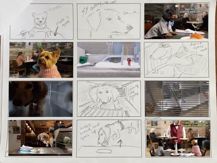 Crusoe the Celebrity Dachshundのインスタグラム：「“Would you ever imagine so much work goes into a little dog video?! 😅” ~ Crusoe」