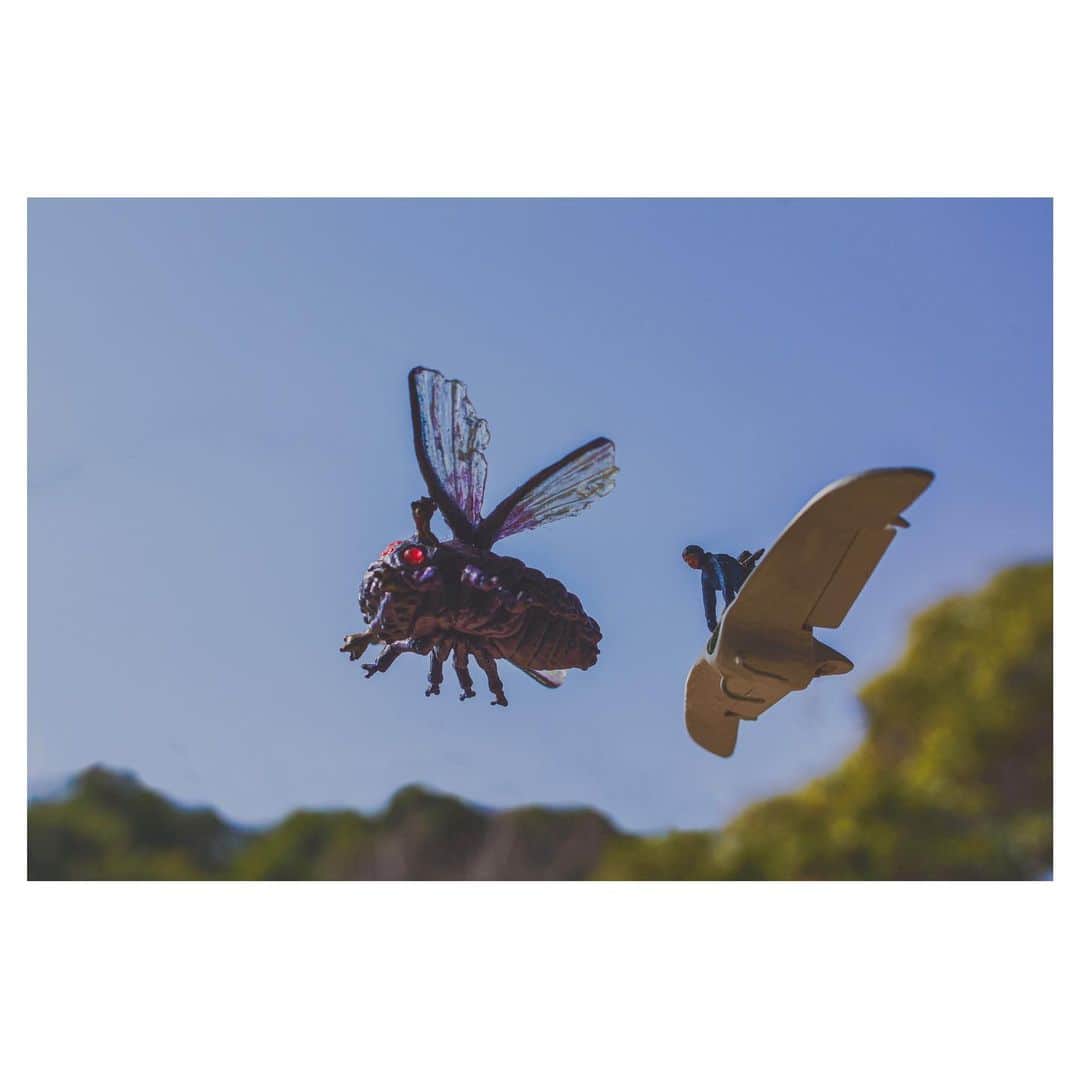 nqouのインスタグラム：「#風の谷のナウシカ #ナウシカ #nausicaa #ジブリ #ghibli  #ミニチュア #miniature #nqouminiature」