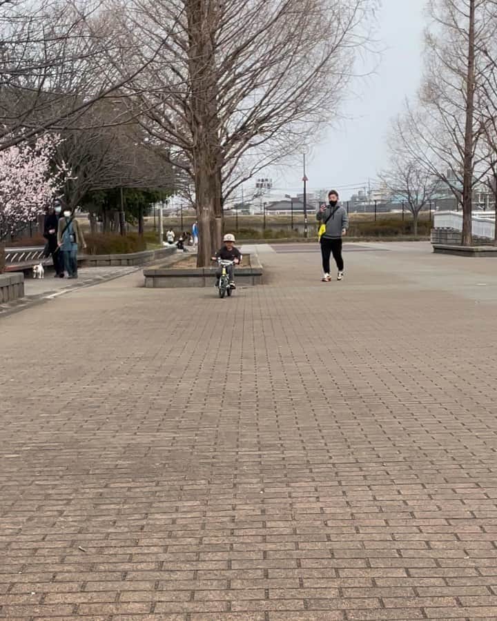 高橋みゆきのインスタグラム：「心坊👦自転車乗れるようになりました🚲毎日練習した成果が今日いきなり出来ました💮凄いねー👏 #3歳8ヶ月 #自転車🚲 #まだブレーキができません #並走してないと怖い #私はクラ吉と休憩」