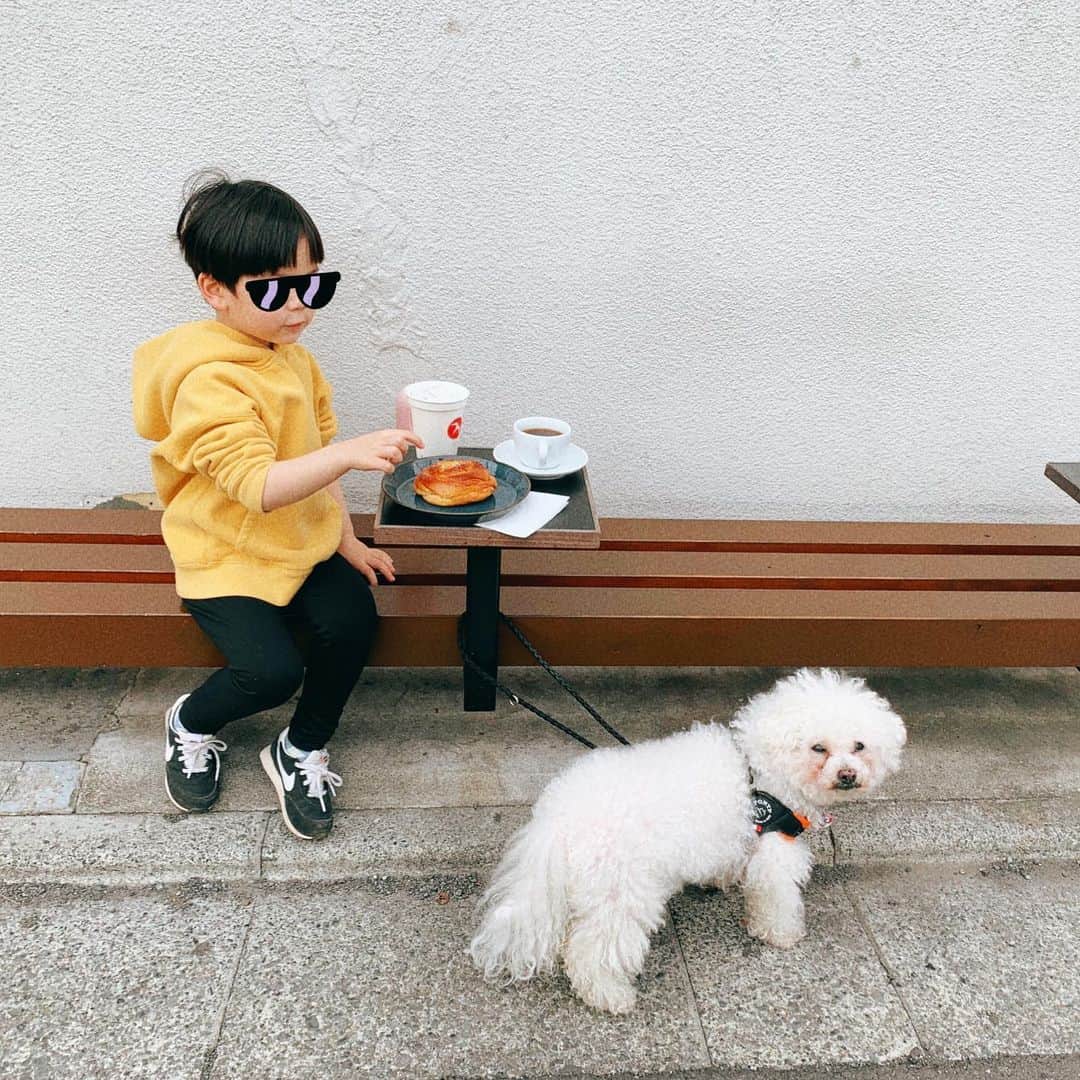 安田美沙子さんのインスタグラム写真 - (安田美沙子Instagram)「朝ラン×はんなのさんぽ🐶  自分のトレーニングはあんまり出来ないけど。。 息子は走るのが板についてきた✨  そして嬉しいことに はんなも体調がふっかつして、一緒に走るまで元気になりました🐶  カフェでモーニング☕️ デートがしあわせすぎる☺️❤️  はんなを散歩する長男。 最後は、はんなに散歩されてました。笑  #カフェ　#朝活　#朝ラン #カフェラン　#hanna #dog #bichonfrise #はんなの通院 #あんしんだね #ホットミルク」3月13日 10時28分 - yasuda_misako