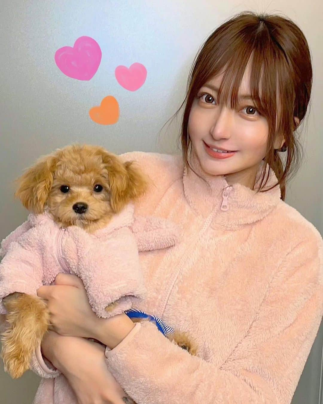 羽田優里奈のインスタグラム：「. . . 愛犬の 「みたらし」 茶色だから🐶 この世でこんな可愛い犬いるんか？？(親ばか) . これは初めての冬を過ごした写真。 もうすぐ一歳になります。 . みたらしの小屋の表札は #喜八洲のみたらし の外箱🍡 笑 . . . . . . #チワプー #ミックス犬  #子犬 #みたらし  #のんびり #穏やかな暮らし #もこもこ #癒し  #パジャマ #おそろコーデ #お揃いパジャマ #ペアルック  #犬 #可愛い #天使 #犬のいる暮らし #いぬすたぐらむ  #スローライフ #dog #doglife #babydog」