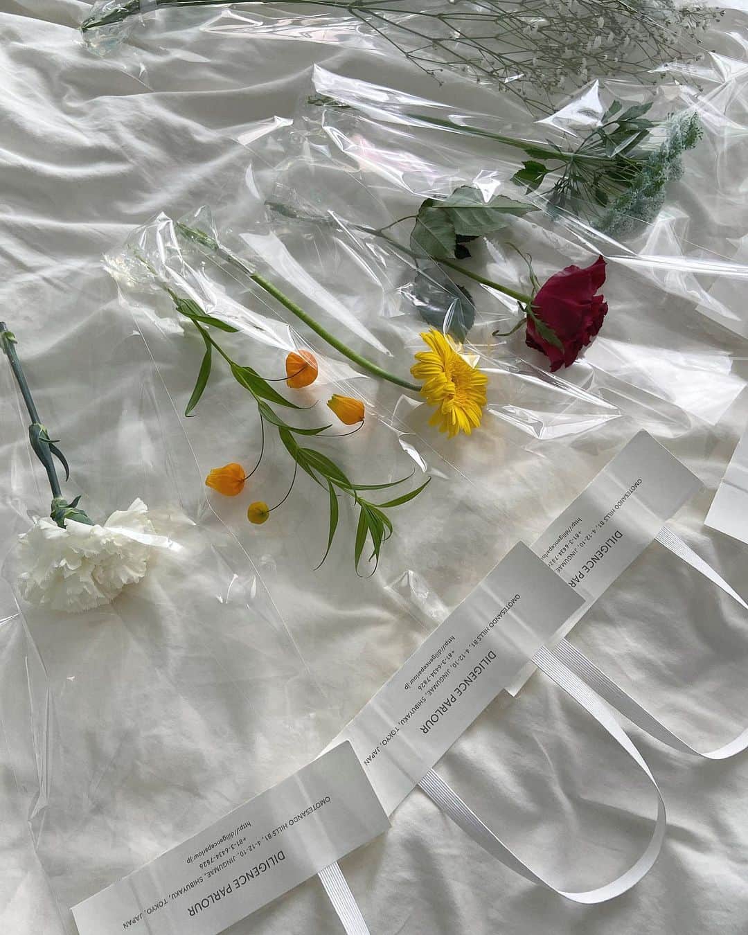 sarimaru(国木田さりまる)のインスタグラム：「💐  カーネーションとガーベラは我が家でお迎えしました🌼」
