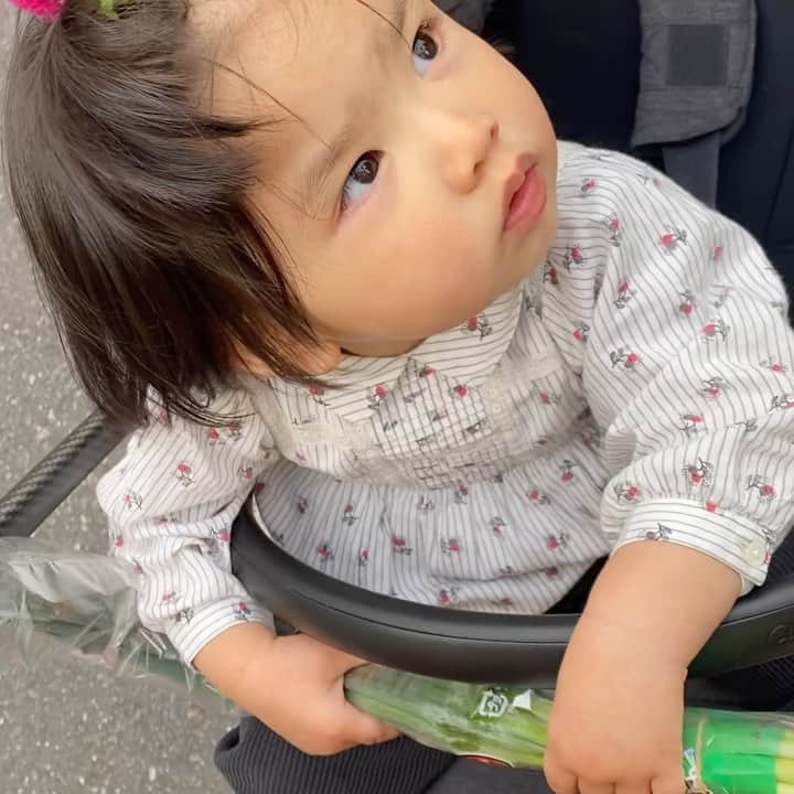申真衣のインスタグラム：「✈️を見送ったらすばやく葱をかじる👶🏻」
