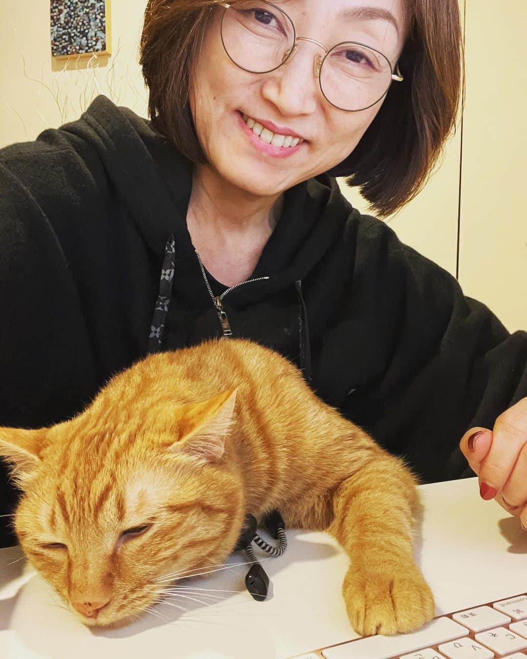 田中ウルヴェ京さんのインスタグラム写真 - (田中ウルヴェ京Instagram)「今日はリモートで理事会があったり、 海外にいるアスリートのメンタルトレーニングがあったり。  ミロは手伝おうとしてくれますが、 ゴロゴロ言って寝てしまうのでバイト代は支払えません。  #リモートワーク  #猫の手を借りる  #うちの猫  #メンタルトレーニング」3月13日 21時05分 - miyako.tanaka.oulevey