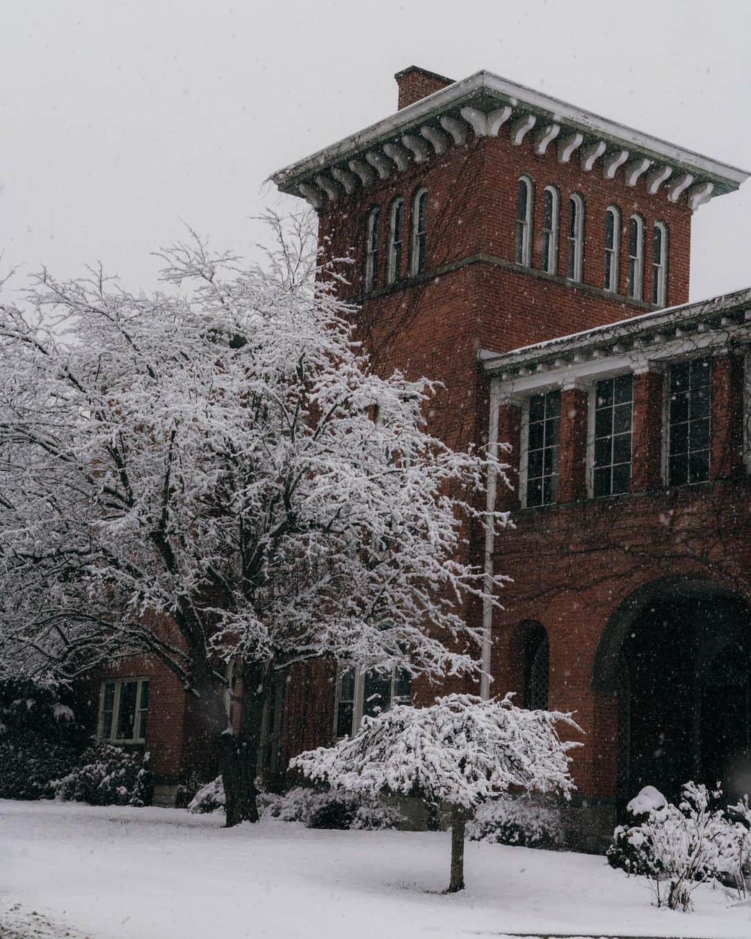 リズ・チェルカソワのインスタグラム：「Spring, but make it winter. Not sure I’ll ever get used to this thing they call “weather” up here. #hudsonny」