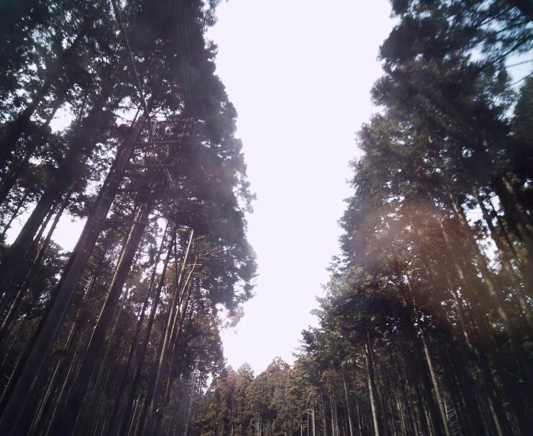真奈さんのインスタグラム写真 - (真奈Instagram)「久しぶりに神社にも 癒された……⛩  おやすみなさい😴  #zzz」3月13日 23時23分 - manatmnt0116
