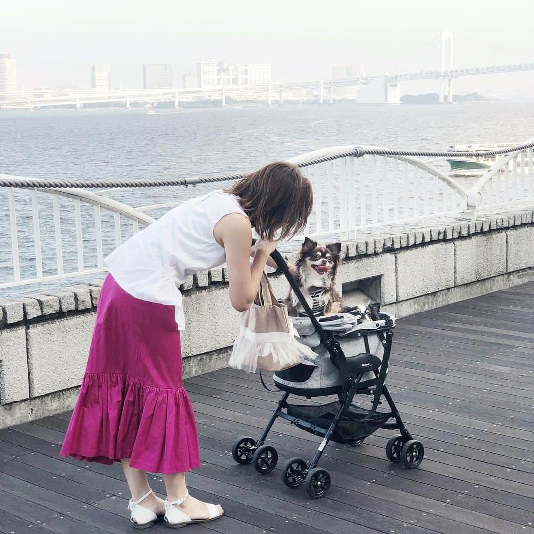 kumamoto_kaoruのインスタグラム：「何年も前から一緒にいるチワワのイリーとマカロン🐶 弟夫婦が飼っていて、私たちも一緒に旅行も行くし、月一で車で実家に連れて行っています。  毎日茹でブロッコリーとキャベツを食べさせていたんだけど、広報しているフレッシュドッグフードのPETOKOTO FOODS（ @petokotofoods_dogs ）を教えてあげたら、さっそく食いつきが良かったらしく動画がきた☺️ 👉4枚目  人間品質のフレッシュドッグフードだから、安全だし、アレルギーもちゃんと加味してもらえるから安心。  マカロンが太りすぎなので、これを機にダイエットを頑張ってほしい。  #ペトコトフーズ #petokotofoods #チワワ #ダイエット頑張れ」