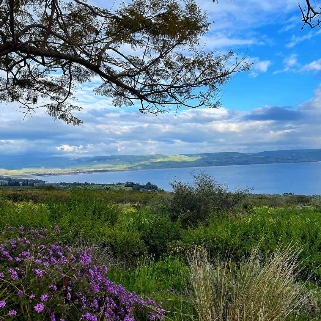 新田朝子さんのインスタグラム写真 - (新田朝子Instagram)「The best season in Tiberias.  泊まったアパートからも湖が見え、 イスラエルでは貴重な緑や花も見られて リフレッシュできました。  #中東  #中東在住 #海外在住  #イスラエル #タイベリアス   #middleast #israel #tiberias」3月14日 17時07分 - asako.nitta