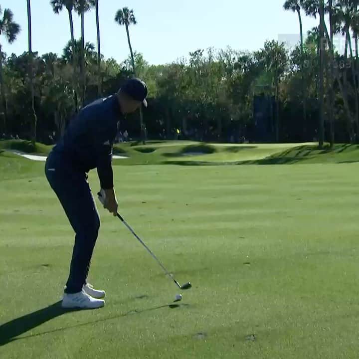 ダニエル・バーガーのインスタグラム：「One more day to go @theplayerschamp」