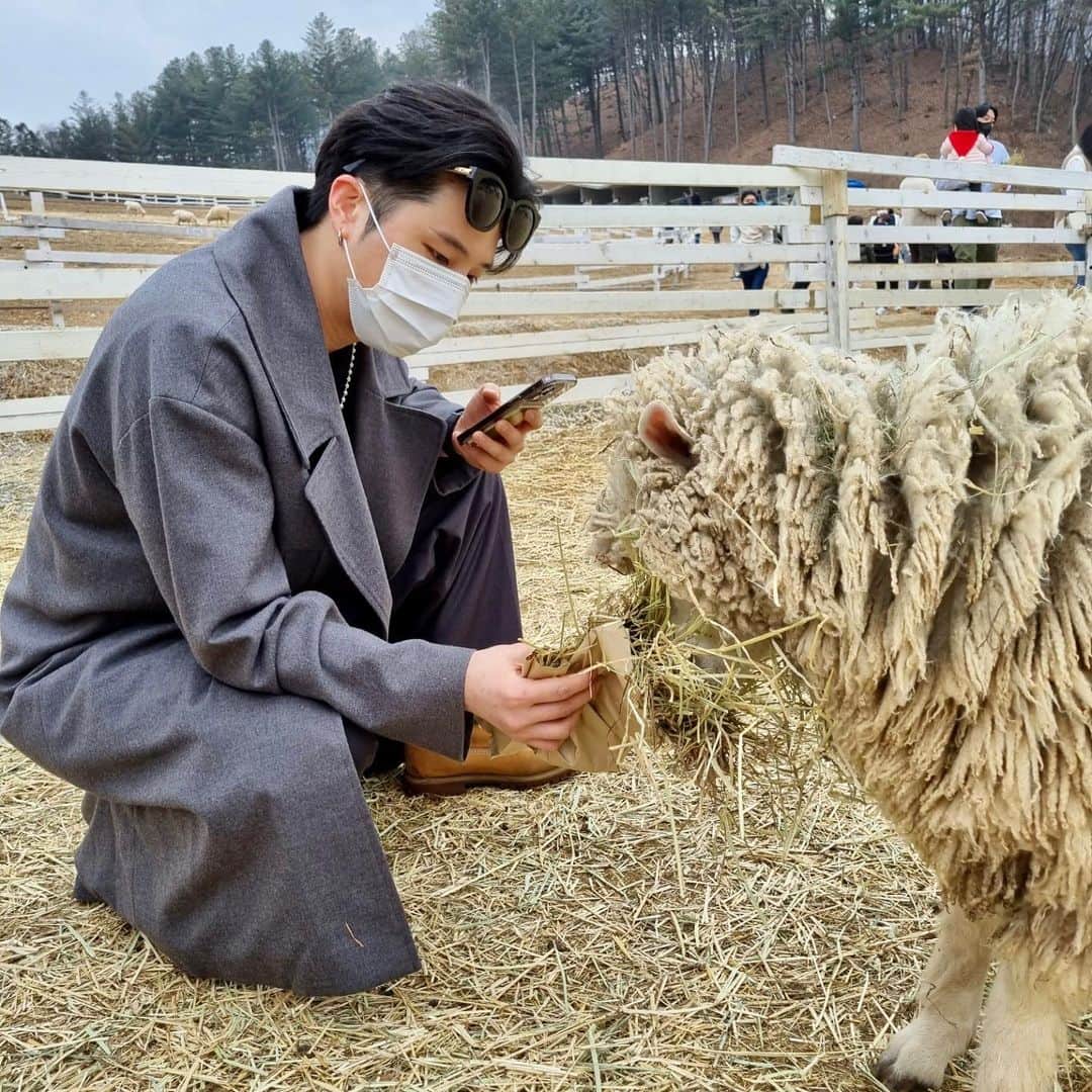 ミンスのインスタグラム：「양떼목장에서😎」