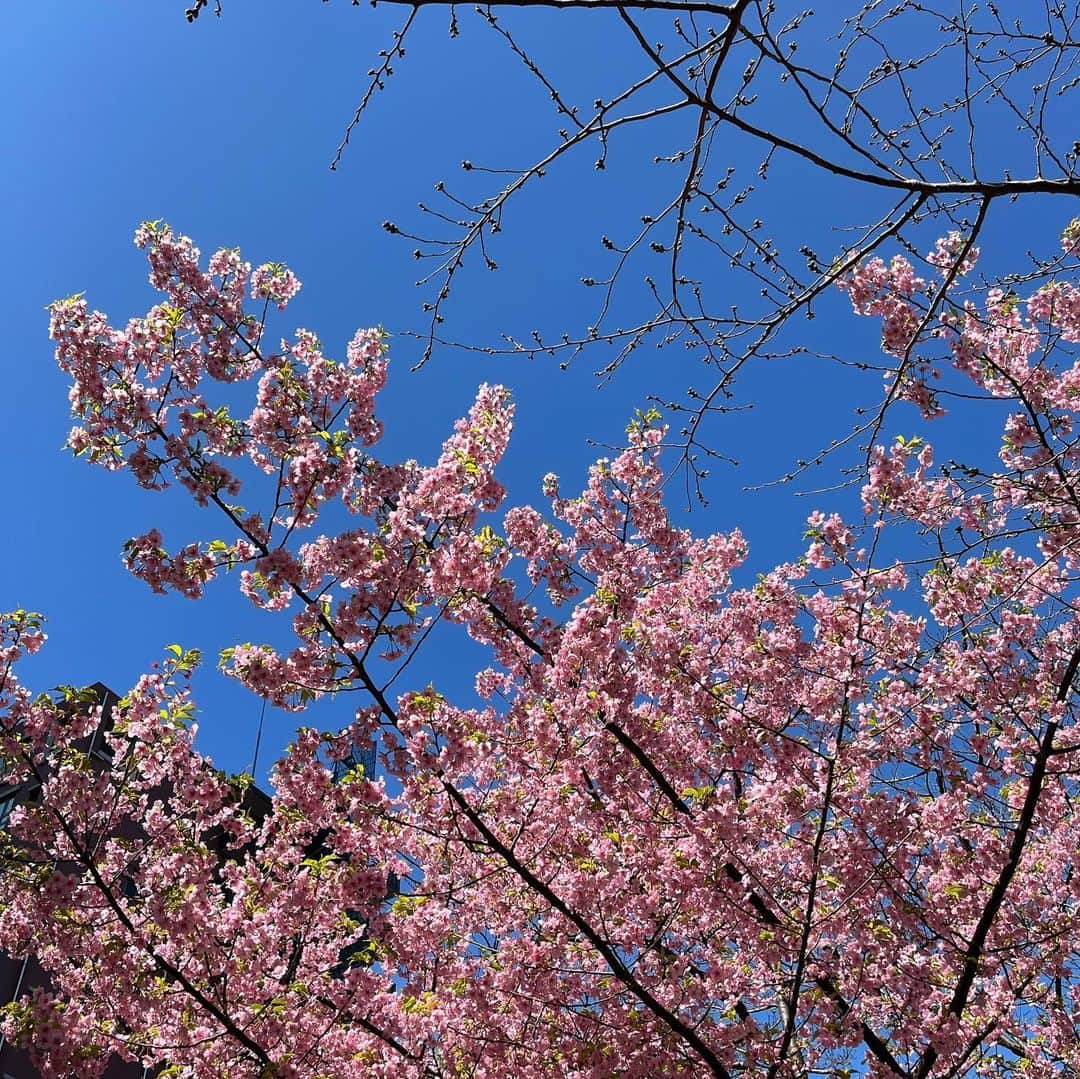 日比麻音子さんのインスタグラム写真 - (日比麻音子Instagram)「この前のブランチ👑 スタジオの小道具が毎回違うので、 放送終了後いつも探検してます。笑 細かいところまで可愛いのです🥺  お借りしたパンプスもピンクで🌸 すっかり春ですなぁ  #王様のブランチ」3月14日 11時40分 - hibi_maoko