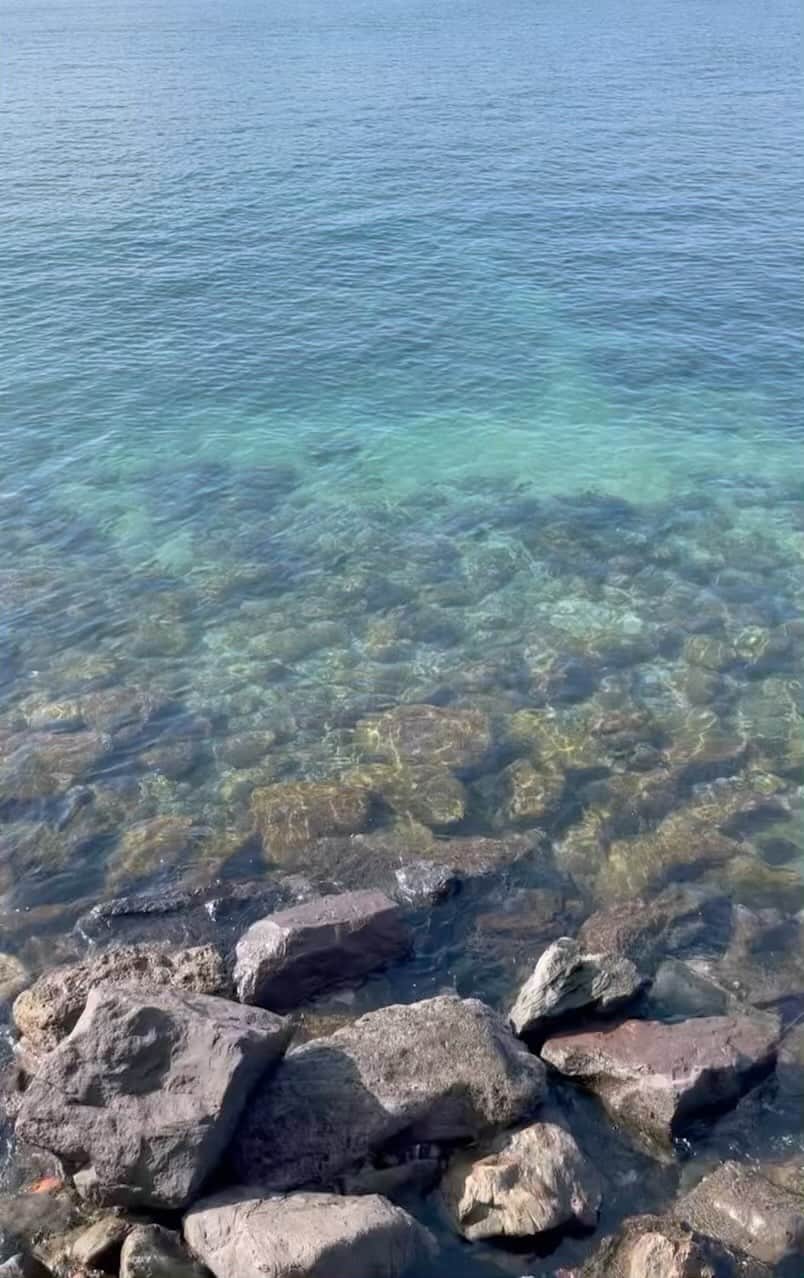 のインスタグラム：「🏖 癒し  #定期的nature #japan」