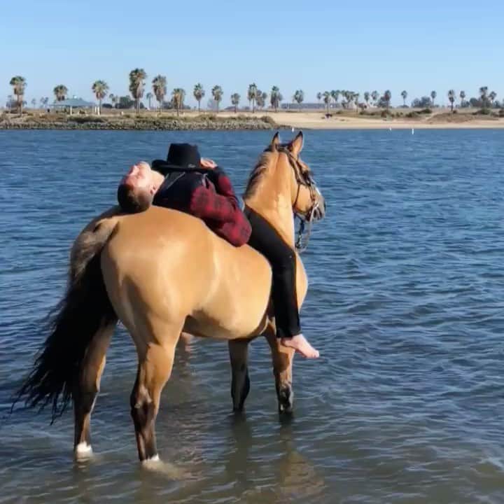 アダム・センのインスタグラム：「Allow horses in cities again. Till oil goes down. 🐎 #horse #horses」