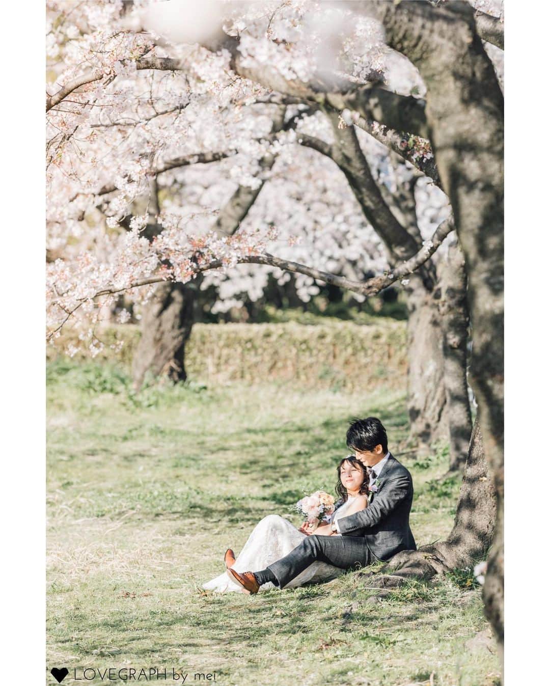 Lovegraph［ラブグラフ］さんのインスタグラム写真 - (Lovegraph［ラブグラフ］Instagram)「桜の開花が待ち遠しい🌸🥰 ㅤㅤㅤ 桜シーズンの撮影予約は埋まりつつありますが、地域によってはまだご予約いただけます！◎ お早めにどうぞ〜☺️🌿 ㅤㅤㅤ ୨୧┈┈┈┈୨୧ ㅤㅤ Lovegraphで撮影した過去のお写真を投稿しています❁︎ ㅤㅤㅤ カップル・ウェディング・ファミリー・プロフィール写真など様々なジャンルの撮影を受付中📸💫 ㅤㅤㅤ ご予約はプロフィールURLからどうぞ☺️✈️ @lovegraph_me ㅤㅤㅤ 姉妹アカウントもチェックしてください✩︎⡱ ㅤㅤㅤ 👶🏻 @lovegraph_kids 💍 @lovegraph_wedding 🤰 @lovegraph_maternity 📸 @lovegraph_academy ㅤㅤㅤ ୨୧┈┈┈┈୨୧ ㅤㅤㅤ #Lovegraph #ラブグラフ #幸せな瞬間をもっと世界に ㅤㅤㅤ #ウェディング前撮り #ロケーション撮影 #バースデーフォト #カップルフォト #エンゲージメントフォト #出張カメラマン #桜前撮り #愛知カメラマン #愛知プレ花嫁 #全国のプレ花嫁さんと繋がりたい」3月14日 21時04分 - lovegraph_me