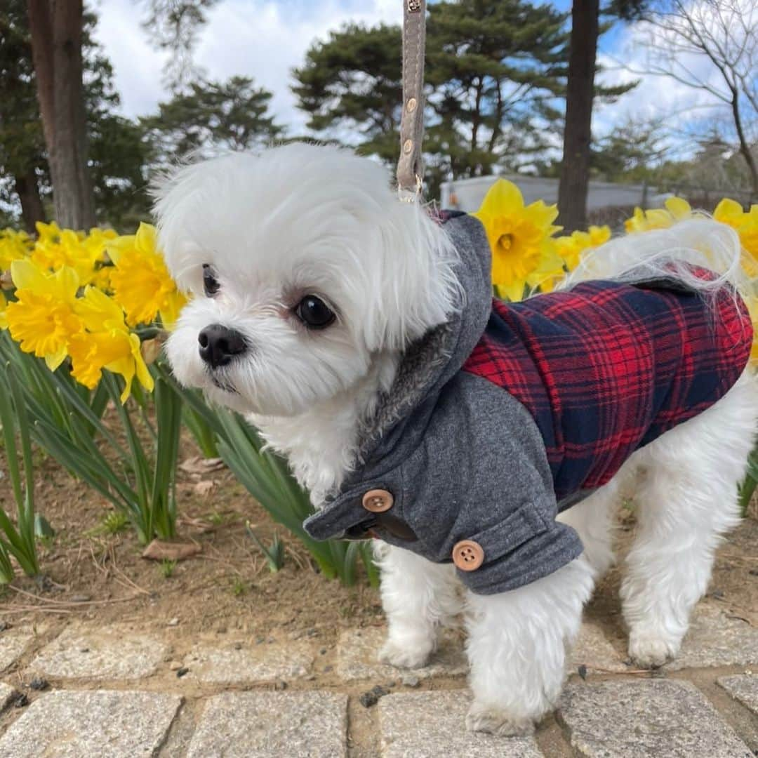 村上なつみのインスタグラム