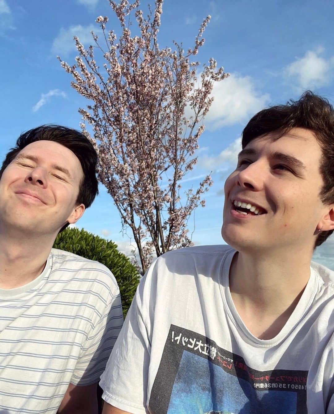 フィル・レスターのインスタグラム：「🌸 We planted a cherry blossom in the garden last year and it’s just bloomed!! 🌸 hanami picnic time」
