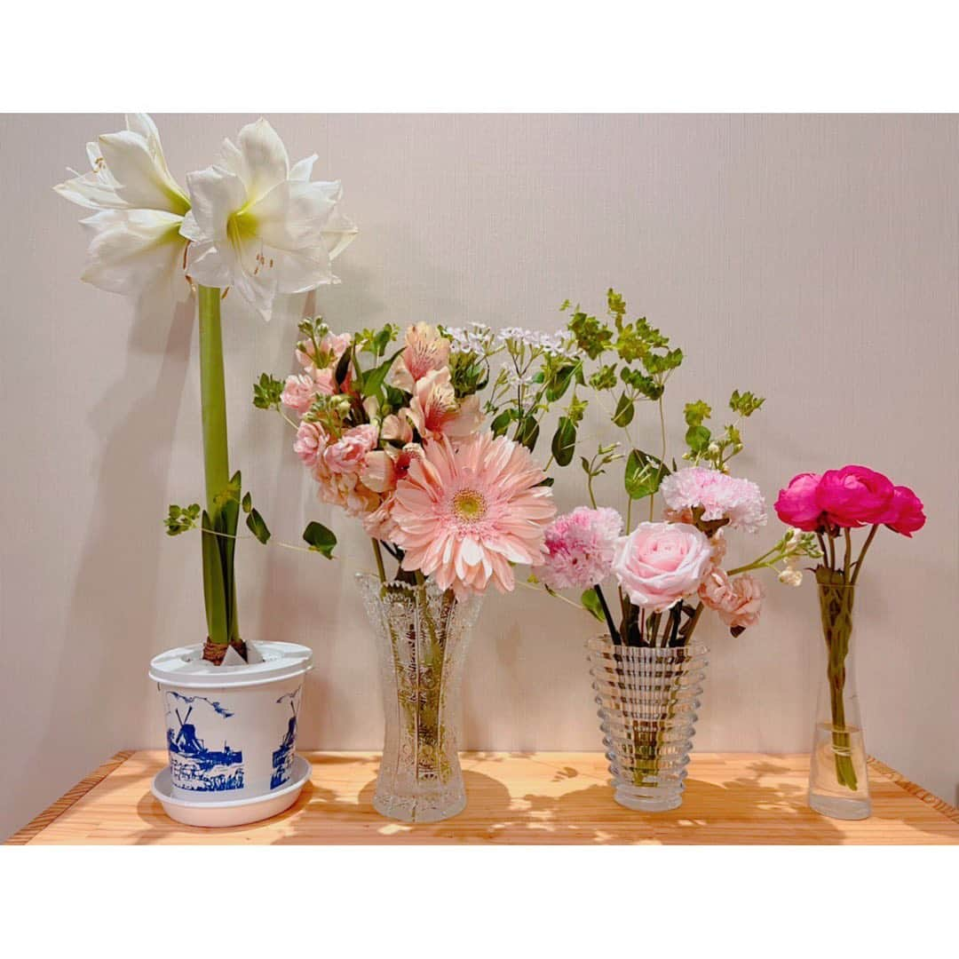 伊藤弘美さんのインスタグラム写真 - (伊藤弘美Instagram)「☺︎ ⁡ おうちのお花集合〜💐 ⁡ ガーベラはこんなに大きなガーベラがあるんだ！👀✨ と驚いたほどのサイズです。 息子の顔の大きさくらいかも！ 優しい色合いだけど迫力があります✨ ⁡ ⁡ #お花　#happywhiteday」3月14日 22時19分 - hiromi_ito831