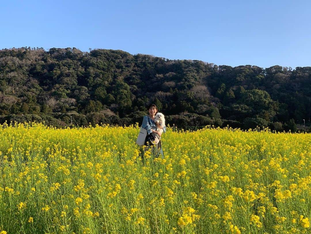 小野真弓のインスタグラム