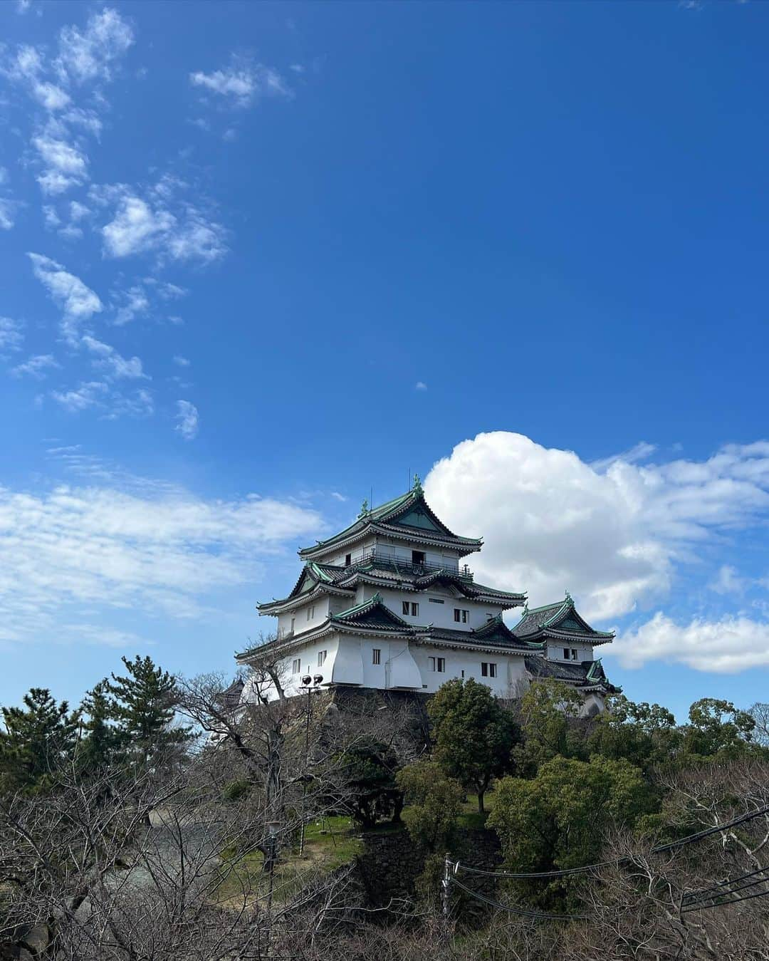 スズさんのインスタグラム写真 - (スズInstagram)「🐄⛰🏯　Wakayama !」3月15日 20時02分 - suzunskd