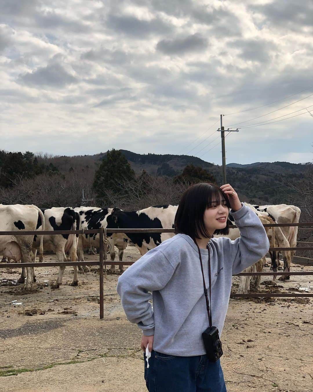 スズのインスタグラム：「🐄⛰🏯　Wakayama !」