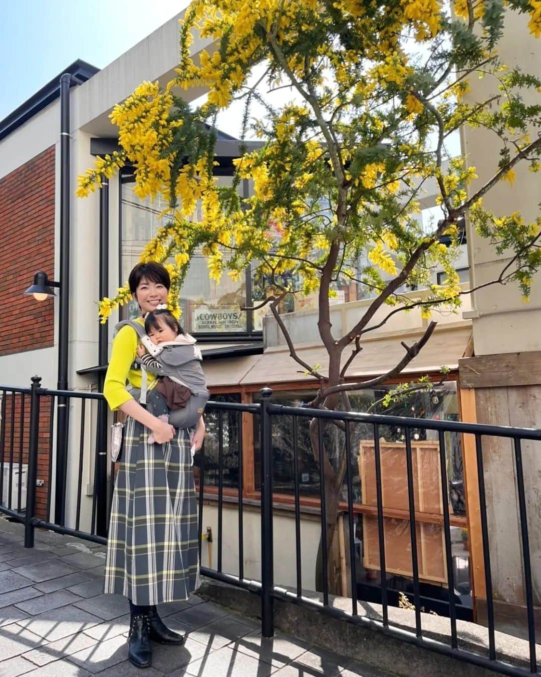 桐島瑞希のインスタグラム：「ミズキとミモザ💛💛💛 Spring has come💕 ミモザ色のトップス着てるから、写真撮ってあげる~と言って頂き、撮ってもらったよ〜💕 みなさんの街にもミモザあるかな？？💛 桜も待ち遠しいねぇ🤤🌸」
