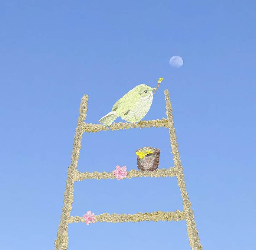 原口奈菜さんのインスタグラム写真 - (原口奈菜Instagram)「「Worm Moon」に向けて🌕 3月の満月は3月18日  Worm = いもむし🐛 虫たちが冬眠から目覚め、地上へと這い出す時期であることからそのように名付けられているそうです🍃」3月15日 21時07分 - nanaharaguchi0813