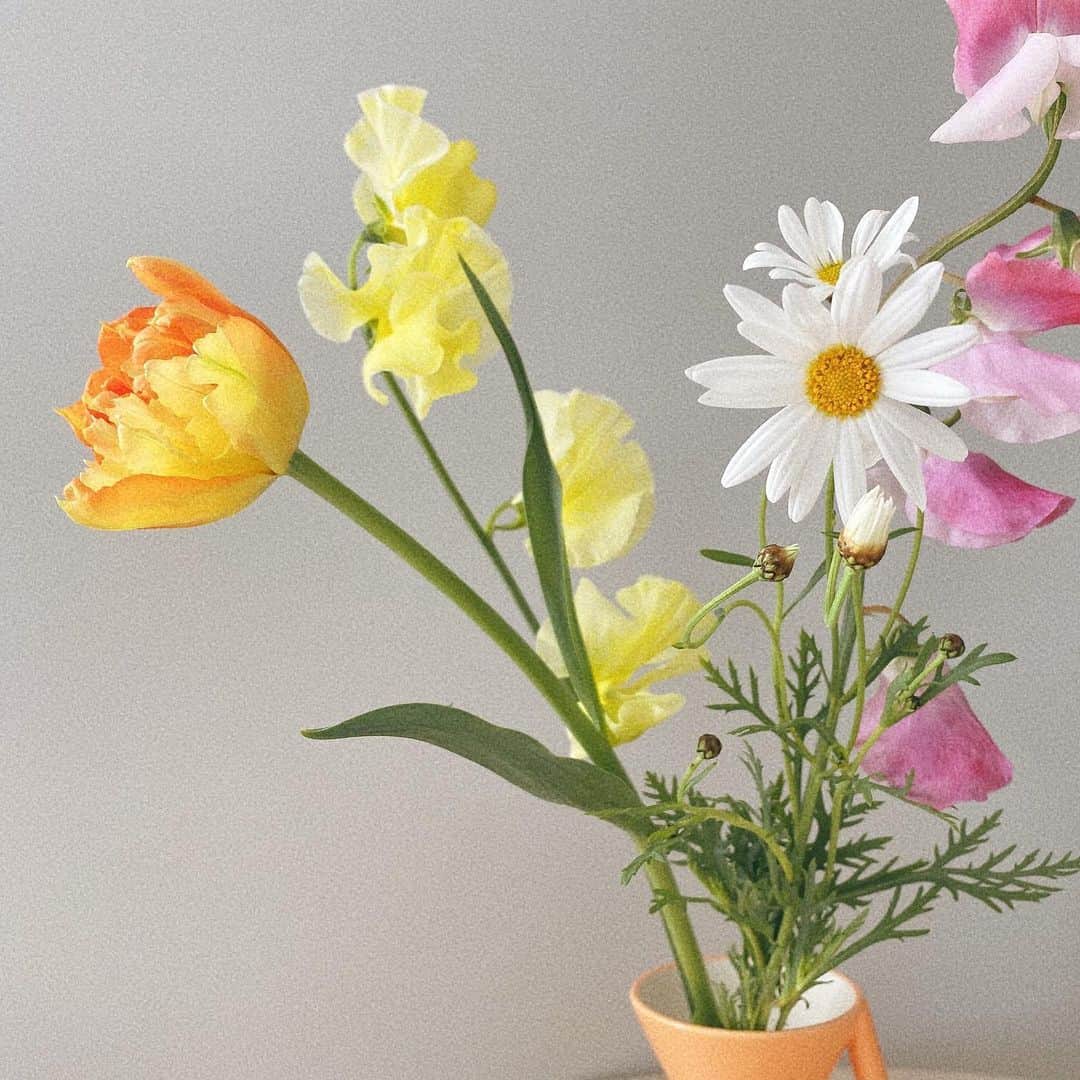 真奈さんのインスタグラム写真 - (真奈Instagram)「愛🌷」3月15日 16時29分 - manatmnt0116