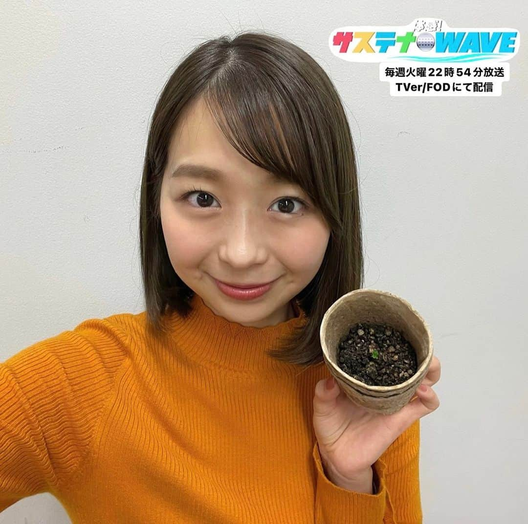 フジテレビアナウンサーさんのインスタグラム写真 - (フジテレビアナウンサーInstagram)「小室瑛莉子です。 今回はビルの屋上で野菜作りを体験しました🥬  今回は土作りから❣️ コンポストと呼ばれる特殊な容器に卵の殻などの生ゴミと土を一緒に入れると、微生物の働きで栄養のある土ができるんです！！  その土を使って、育苗ポットでほうれん草の種を発芽させました🥬🌱 葉っぱが大きくなってきたら、ビルの屋上の畑に植え直します。  種から植物を育てるのは久しぶりでしたが、 無事発芽した時は少し感動しちゃいました🥲  皆さんもぜひ、お家で育ててみてください✨  #フジテレビアナウンサー #小室瑛莉子 #ビルの屋上で野菜作りを体験 #楽しくアクションSDGs #12つくる責任つかう責任 #15緑の豊かさを守ろう #体感サステナWAVE #3月15日 #22時54分から #関東ローカル #放送後TVer #FODでも配信」3月15日 16時47分 - fujitv_announcer