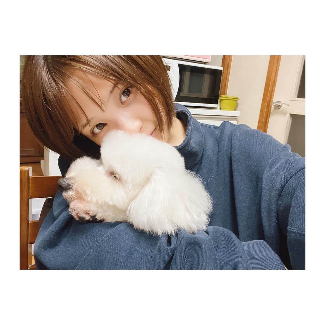 のインスタグラム：「. お爺ちゃん家で くくまるとのんびり〜🍵  お爺ちゃんとくくのW癒しで お顔がほころびまくりの1日♡  こんなお休みも良いね  #モモとクク」