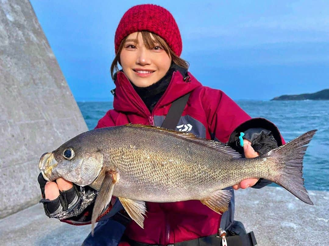 秋丸美帆さんのインスタグラム写真 - (秋丸美帆Instagram)「アジング中に、まさかの堤防イサキー！  #fishing #fish #daiwa #釣り #イサキ #堤防釣り」3月15日 19時33分 - mippy34