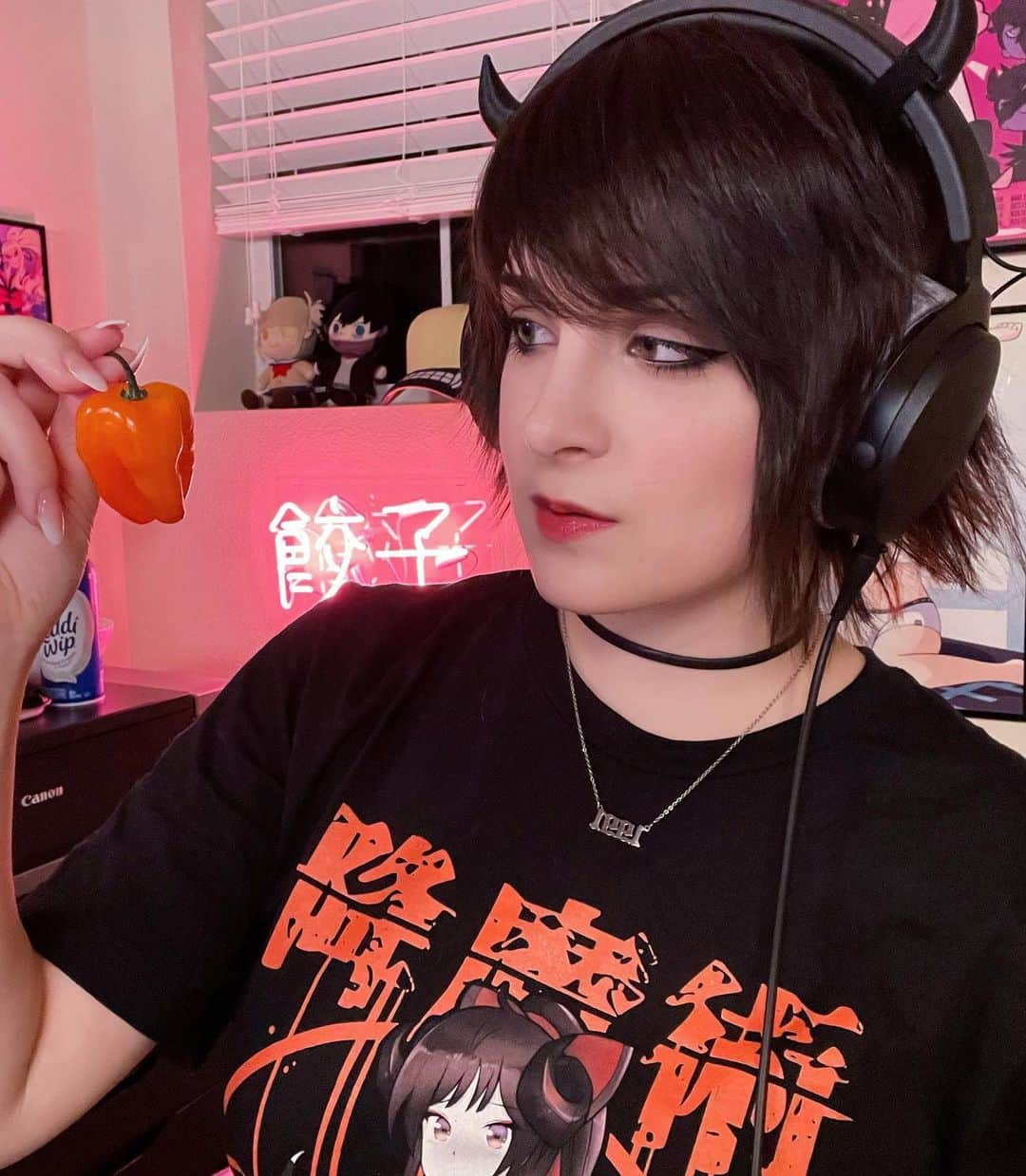 Tessaさんのインスタグラム写真 - (TessaInstagram)「So how about that hot pepper stream huh 🌶💀  Shirt: @freshtango  Socks: @sockdreams」3月16日 5時06分 - hiso.neko