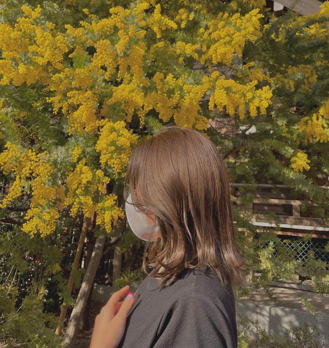 manaのインスタグラム：「. わぁーい髪の毛カラー行ってきた🌼🤍 今回いつもと違う色にしたんだけどめっちゃ良くてお気に入りすぎる🥲! ”ブリーチしなくても透け感ある色“にしたいと言う私のワガママを難無く叶えてくれるなりちゃんまじ神🤲🏻🪞ˎˊ˗ 詳しくは私お任せでわからないから気になる方は是非行ってみてね🧃 ちなみに…絶対トリートメントもセットで受ける事をオススメします🤫 【 〰@nari46 〰 】  #髪質改善 #トリートメント #カラー #ヘアカラー #透け感カラー #代官山サロン #ヘアサロン @tricca_daikanyama @triccam2b 🌱🤍」