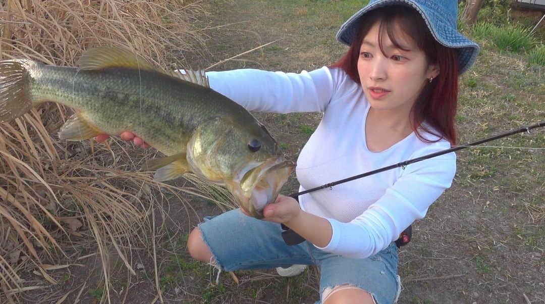 マルコスさんのインスタグラム写真 マルコスinstagram 今年も春 がきた