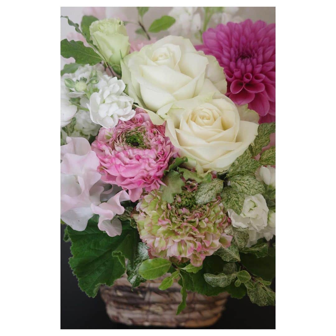 高垣麗子さんのインスタグラム写真 - (高垣麗子Instagram)「* いただいたお花☺️💐  自然の姿形がこんなにも美しいだなんて✨ 花のある暮らしはやはり心安らぎますね𓂃𓂃  生花を飾りたくて部屋を整えるのも良いし 整えた空間に生けるのもいいね  * #flower #花のある暮らし」3月16日 14時09分 - reikotakagaki