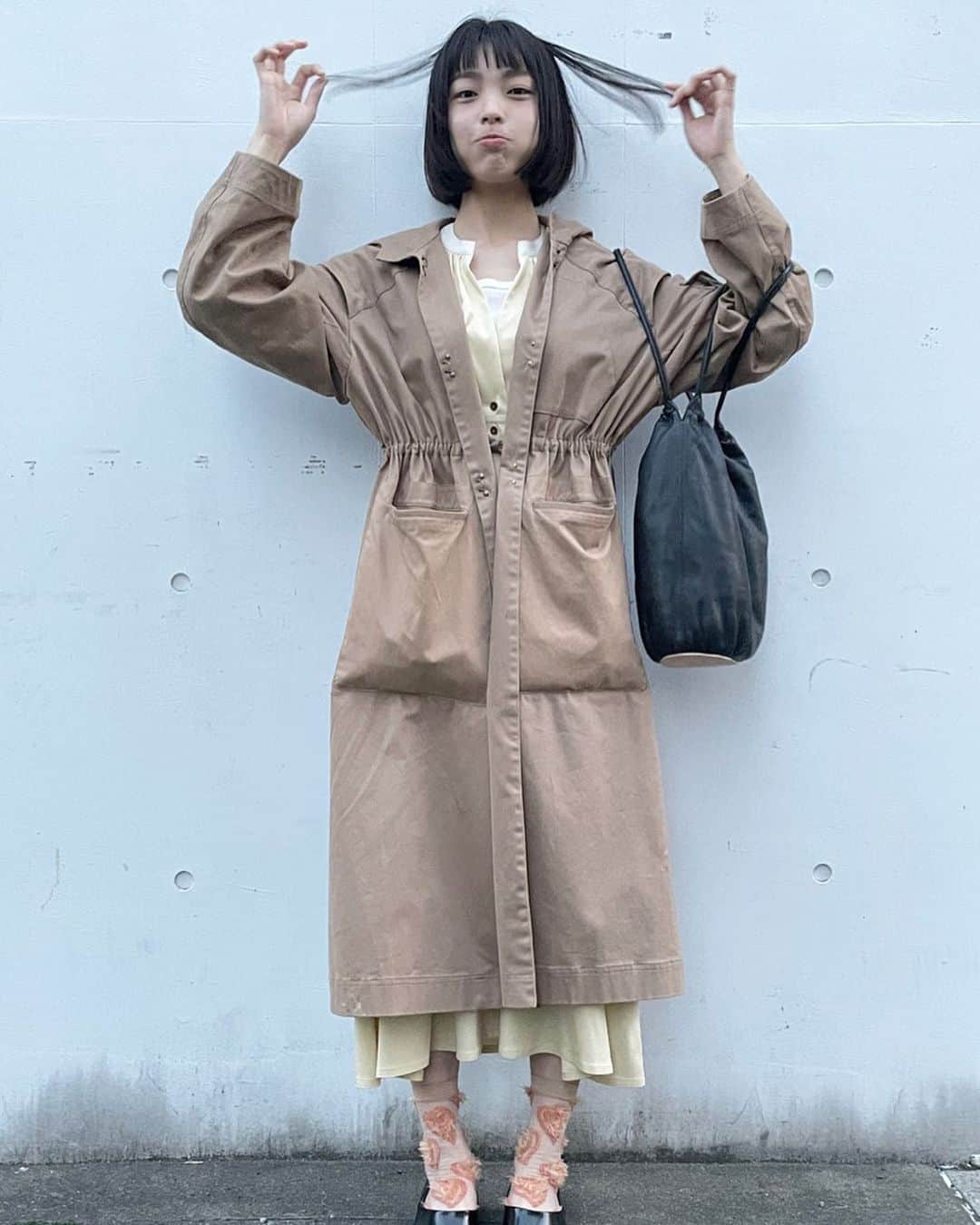 のインスタグラム：「こんにチワワ。」